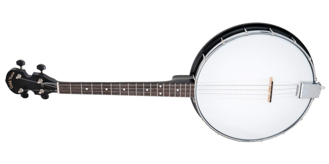 AC-4IT 4-String Openback Irish Tenor Banjo with Gigbag (Left Handed)