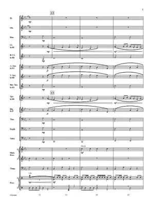 Pirate Patrol - McMichael - Concert Band - Gr. 1.5