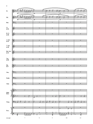 Pirate Patrol - McMichael - Concert Band - Gr. 1.5