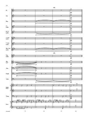 Pirate Patrol - McMichael - Concert Band - Gr. 1.5