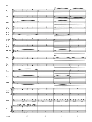Pirate Patrol - McMichael - Concert Band - Gr. 1.5