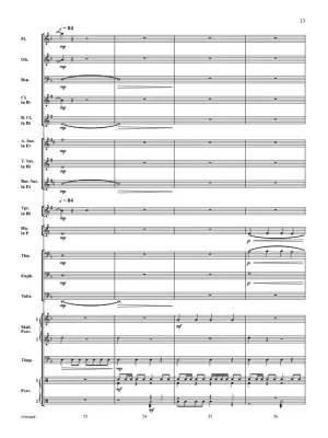 Pirate Patrol - McMichael - Concert Band - Gr. 1.5