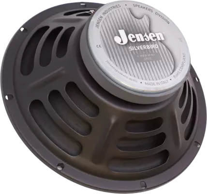 Silverbird 10 50 Watt 10\'\' Speaker - 8 Ohm
