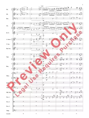 Tirelessly Through the Night... - Owens - Concert Band - Gr. 3