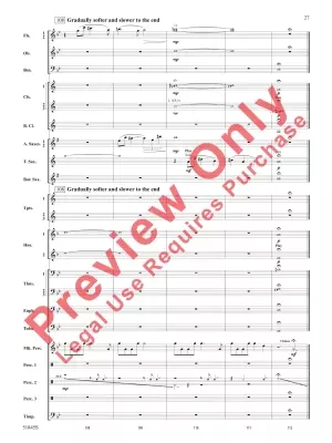 Tirelessly Through the Night... - Owens - Concert Band - Gr. 3