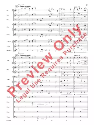 Tirelessly Through the Night... - Owens - Concert Band - Gr. 3