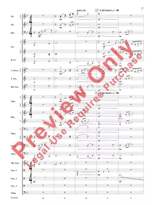 Tirelessly Through the Night... - Owens - Concert Band - Gr. 3