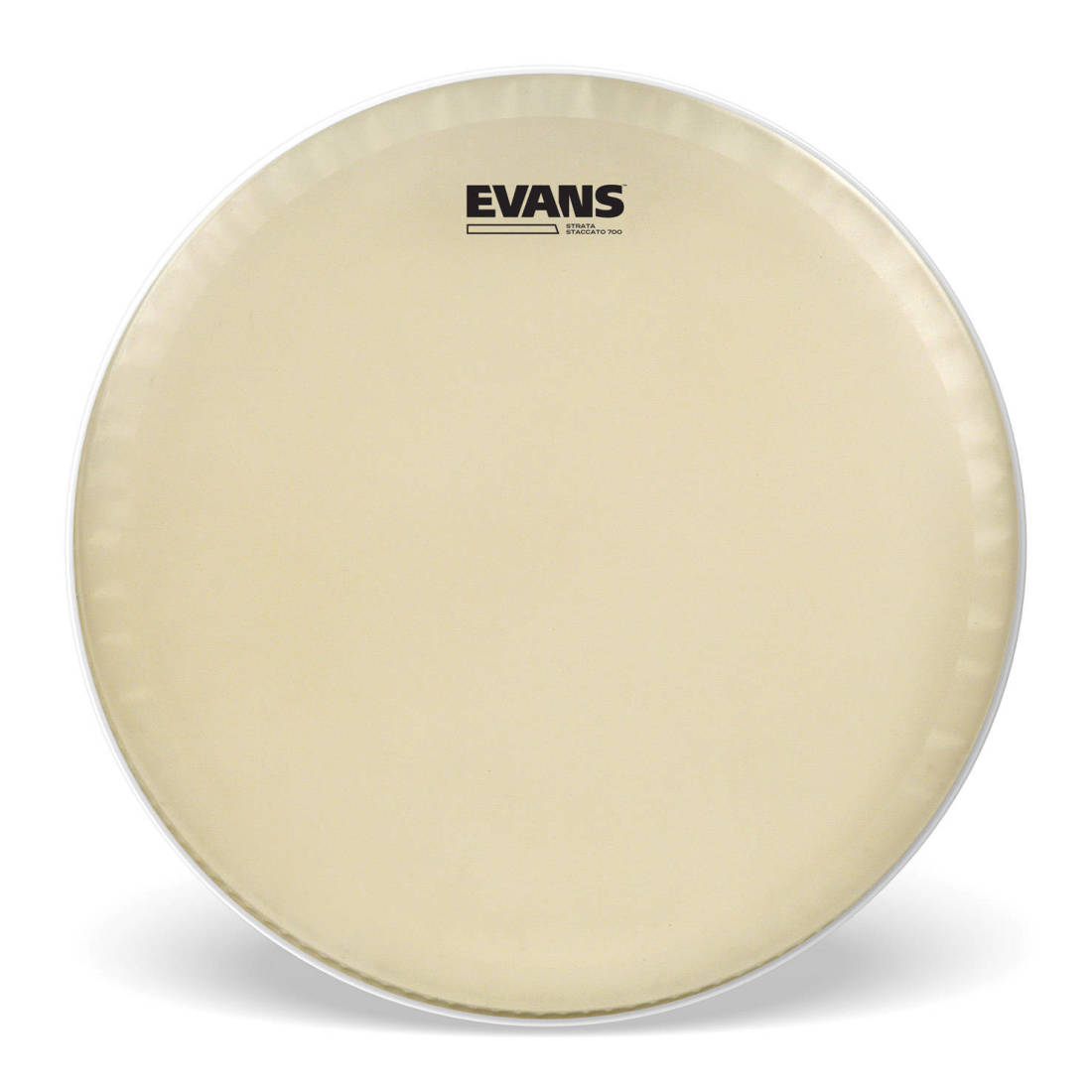 CS14SS - Evans Strata Staccato 700 Concert Snare Drum Head, 14 Inch