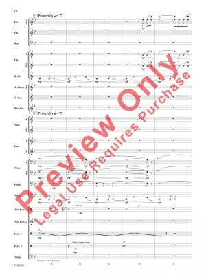 The Second Shaman - Barrett - Concert Band - Gr. 3
