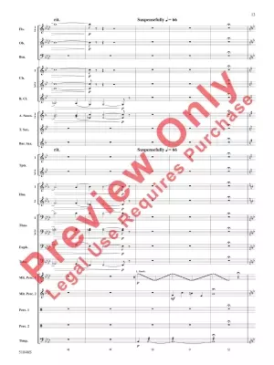 The Second Shaman - Barrett - Concert Band - Gr. 3