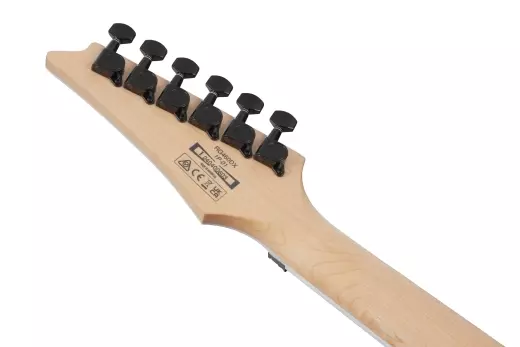 RG Standard Electric Guitar - Blue Haze
