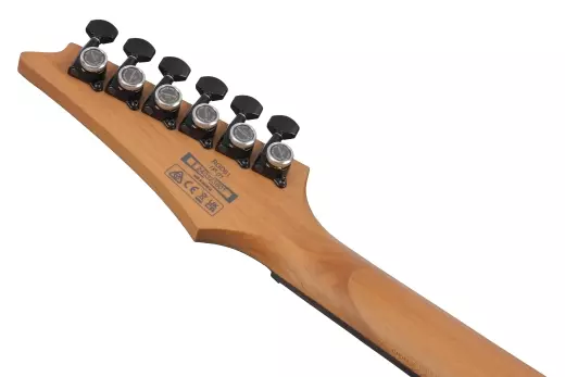 RGD Electric Guitar - Black Aurora Burst Matte
