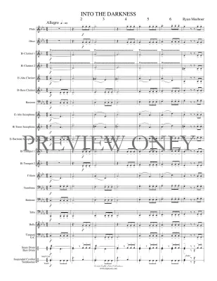 Into the Darkness - Meeboer - Concert Band - Gr. 1.5
