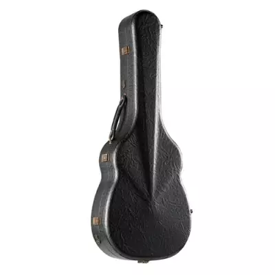 10 Fc Classical Guitar with Hardshell Case