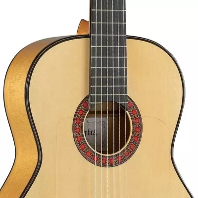 10 Fc Classical Guitar with Hardshell Case