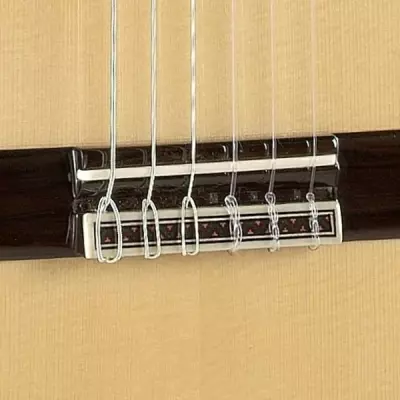 10 Fc Classical Guitar with Hardshell Case