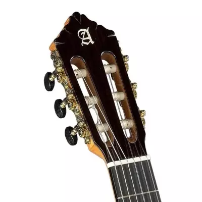 10 Fc Classical Guitar with Hardshell Case