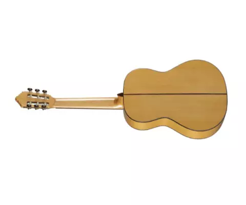 10 Fc Classical Guitar with Hardshell Case