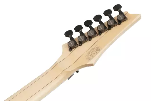 P Series Genesis Collection Electric Guitar - Black