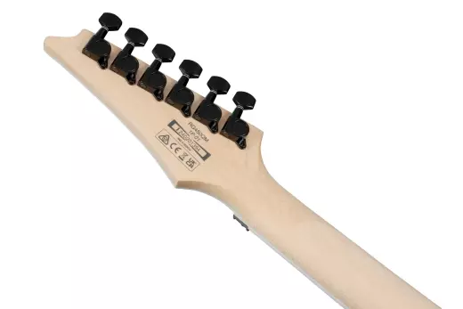 RG Standard Electric Guitar - Transparent Gray Burst