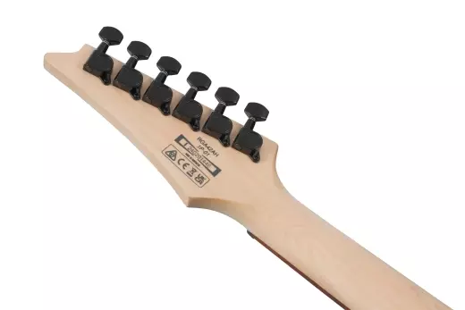 RGA Standard Electric Guitar - Black Stained