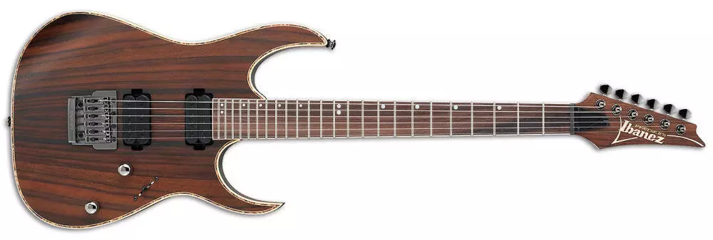 RG Electric Guitar - Charcoal Brown Flat
