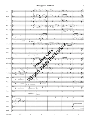 Foggy Dew (Irish Folk Song) - Wilds - Concert Band - Gr. 4.5