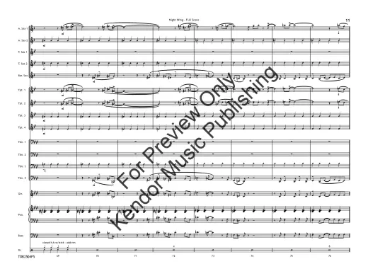 Night Wing - Zvacek - Jazz Ensemble - Gr. 3