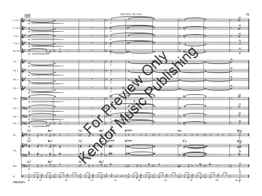 Night Wing - Zvacek - Jazz Ensemble - Gr. 3