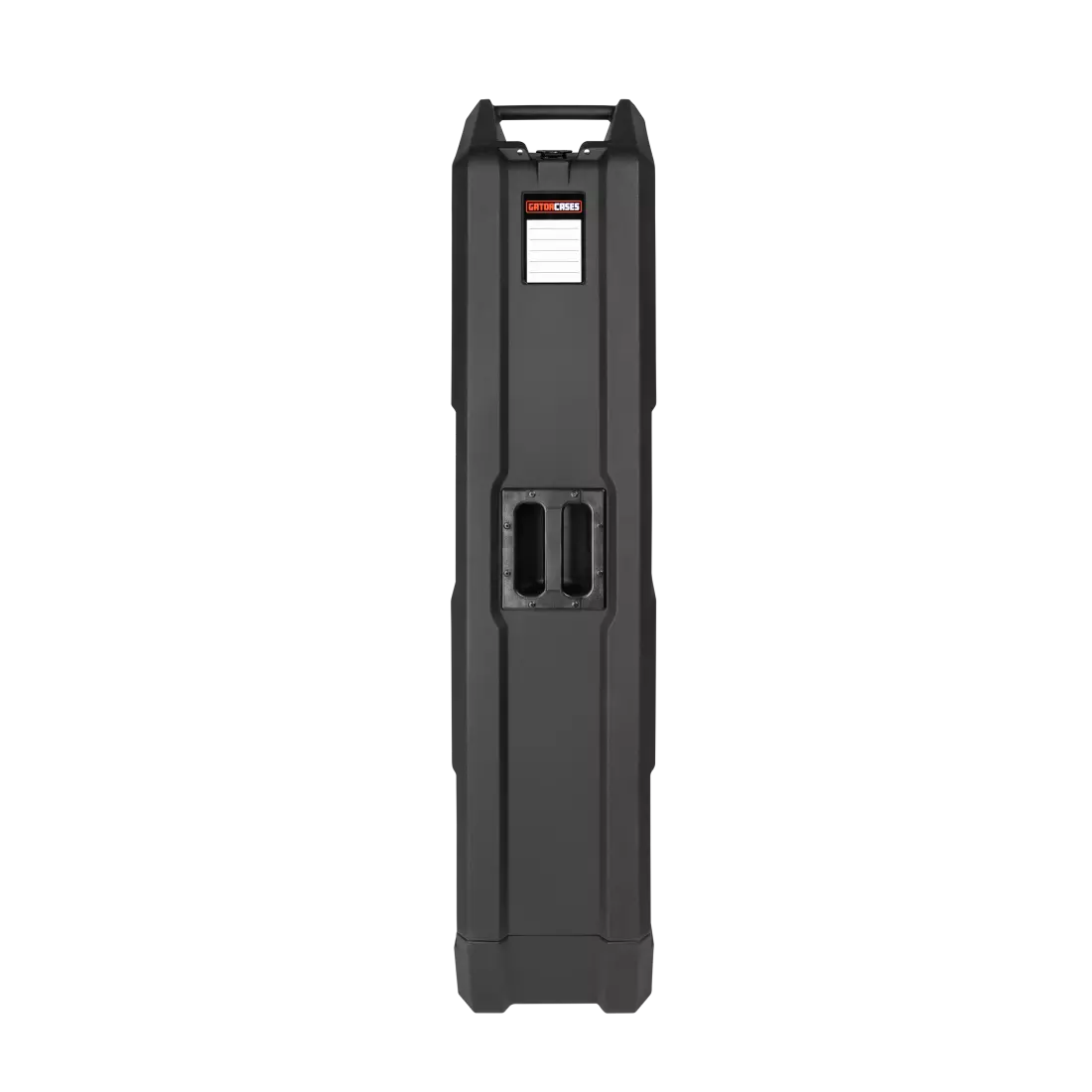 Mini Vault for 2 Electric Bass Guitars