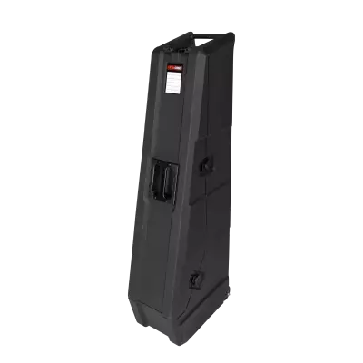Mini Vault for 2 Electric Bass Guitars
