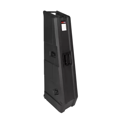 Mini Vault for 2 Electric Bass Guitars