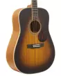 D40 All Mahogany Acoustic Guitar with Case - Sunburst