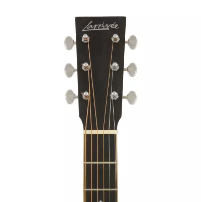 D40 All Mahogany Acoustic Guitar with Case - Sunburst
