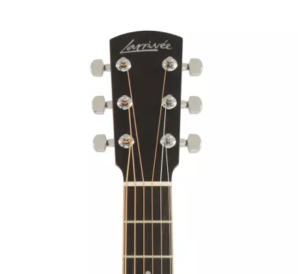P-03 Spruce/Mahogany Acoustic Guitar w/Case