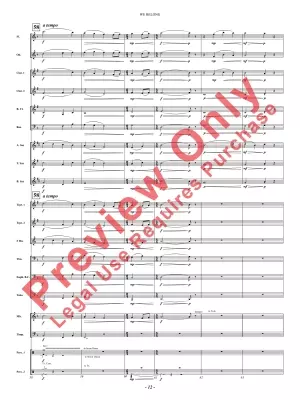 We Belong - VanDoren - Concert Band - Gr. 2.5