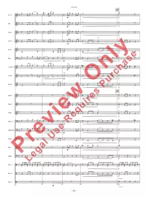 Tatonka (Spirit of the Bison) - Owens - Concert Band - Gr. 2