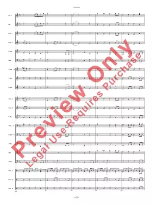 Tatonka (Spirit of the Bison) - Owens - Concert Band - Gr. 2