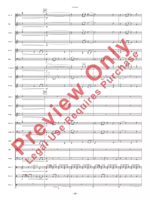 Tatonka (Spirit of the Bison) - Owens - Concert Band - Gr. 2