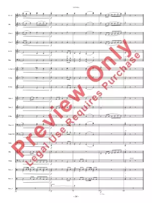 Tatonka (Spirit of the Bison) - Owens - Concert Band - Gr. 2