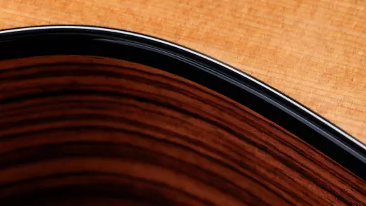 254ce Plus Grand Auditorium Rosewood/Spruce 12-String Acoustic-Electric Guitar with Gigbag - Left Handed