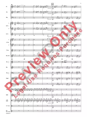 The Beauty of Their Dreams - White - Concert Band - Gr. 1.5