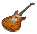 Special Semi-Hollow Electric Guitar with Hardshell Case - Dark Cherry Sunburst