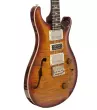 Special Semi-Hollow Electric Guitar with Hardshell Case - Dark Cherry Sunburst