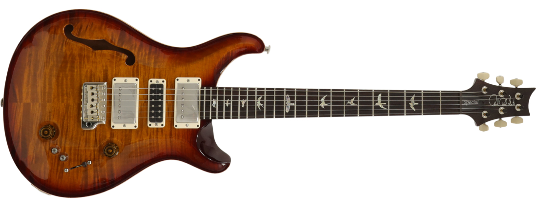 Special Semi-Hollow Electric Guitar with Hardshell Case - Dark Cherry Sunburst