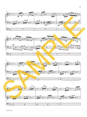 Gaudete! Music for Advent and Christmas - Portman - Organ - Book