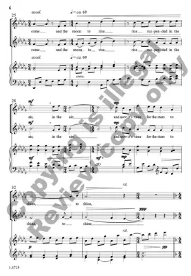 Night - Luengen - Choral Octavo - 2-Pt Accompanied
