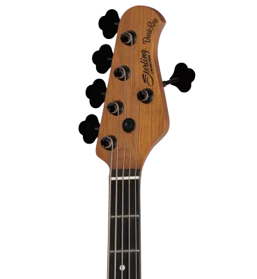 DarkRay 5 5-String Bass Guitar w/Gig Bag - Black