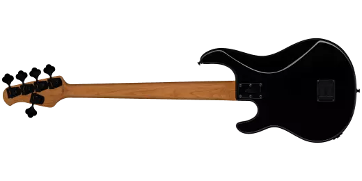 DarkRay 5 5-String Bass Guitar w/Gig Bag - Black