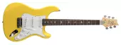 PRS Guitars - John Mayer Silver Sky SE Rosewood Electric Guitar with Gigbag - Dandy Lion